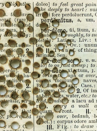 Perceptus, book art by Thurle Wright